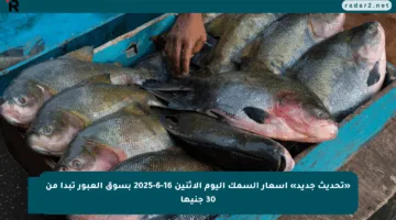 «تحديث جديد» أسعار السمك اليوم الاثنين 16-6-2025 بسوق العبور تبدأ من 30 جنيها